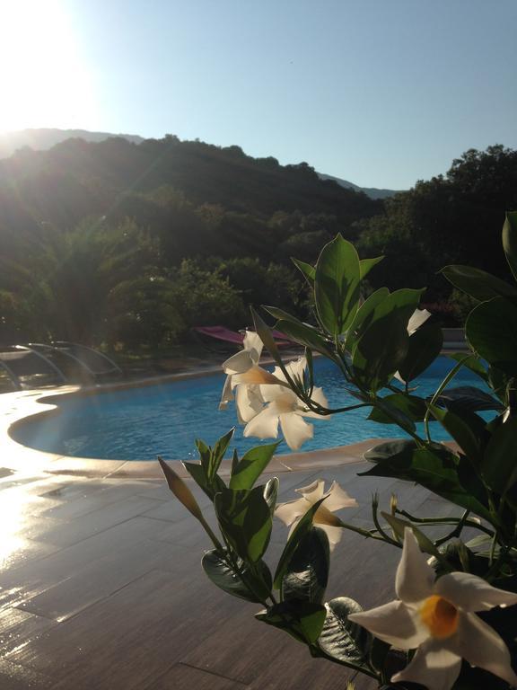 Casa Eva Maria Bed & Breakfast Patrimonio Bagian luar foto
